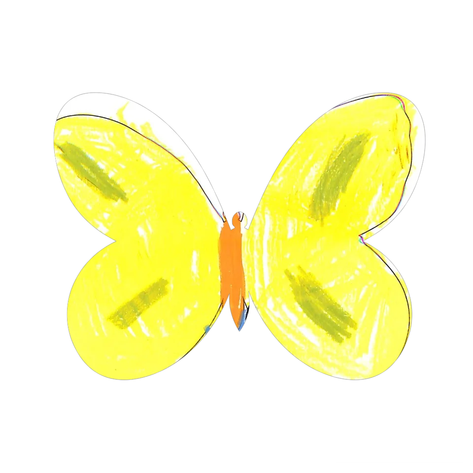 Original Butterfly Image