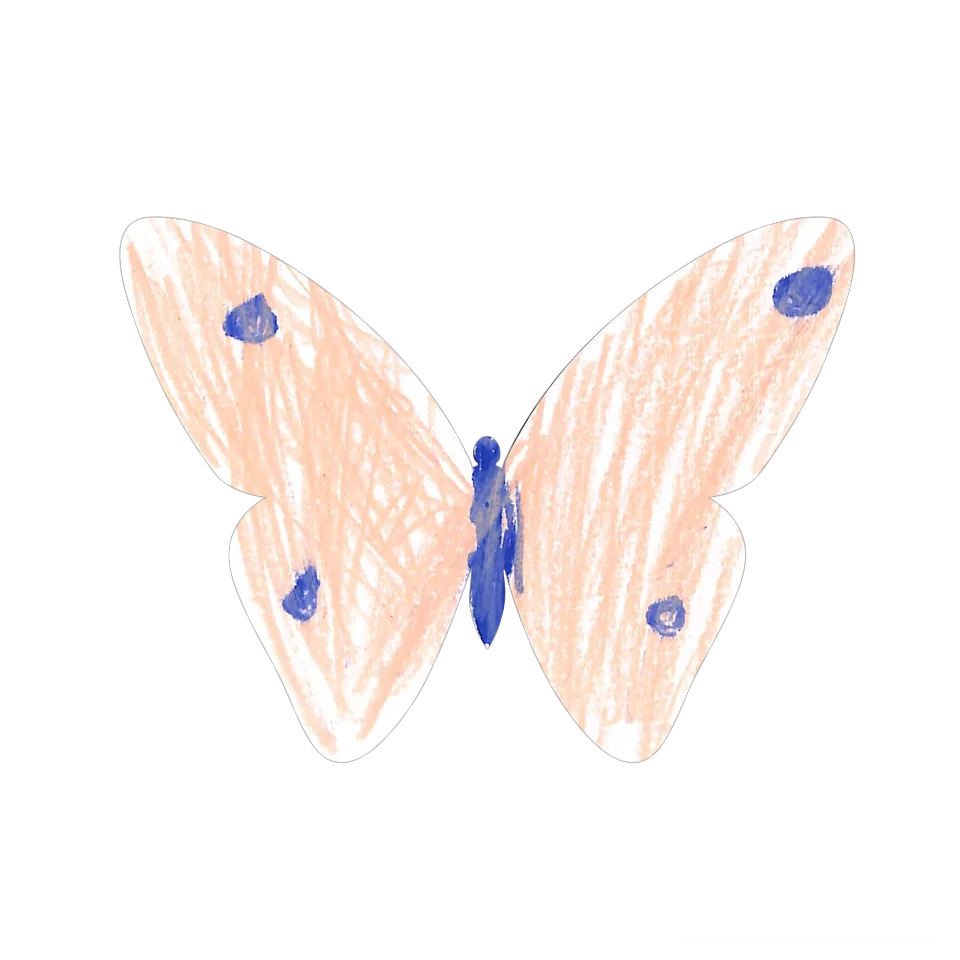 Original Butterfly Image