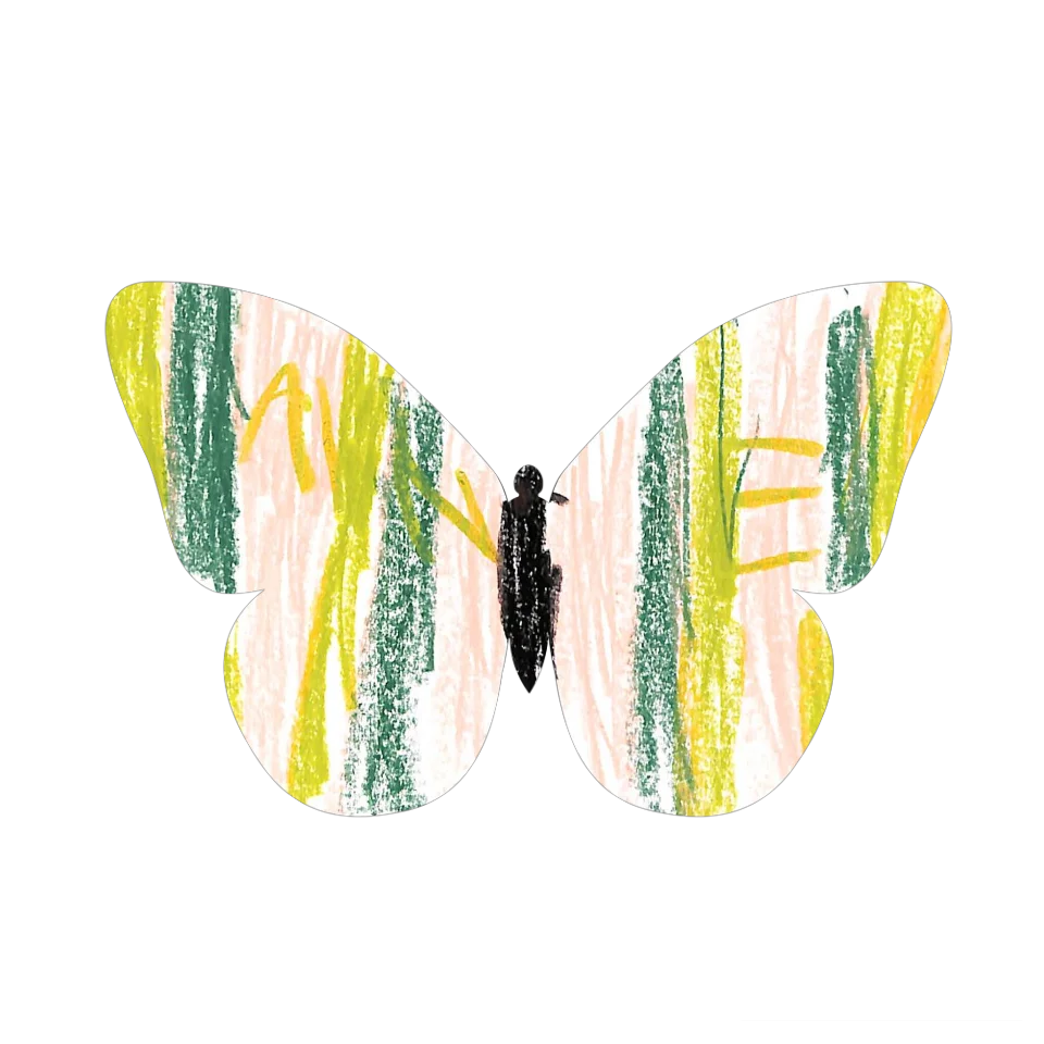 Original Butterfly Image