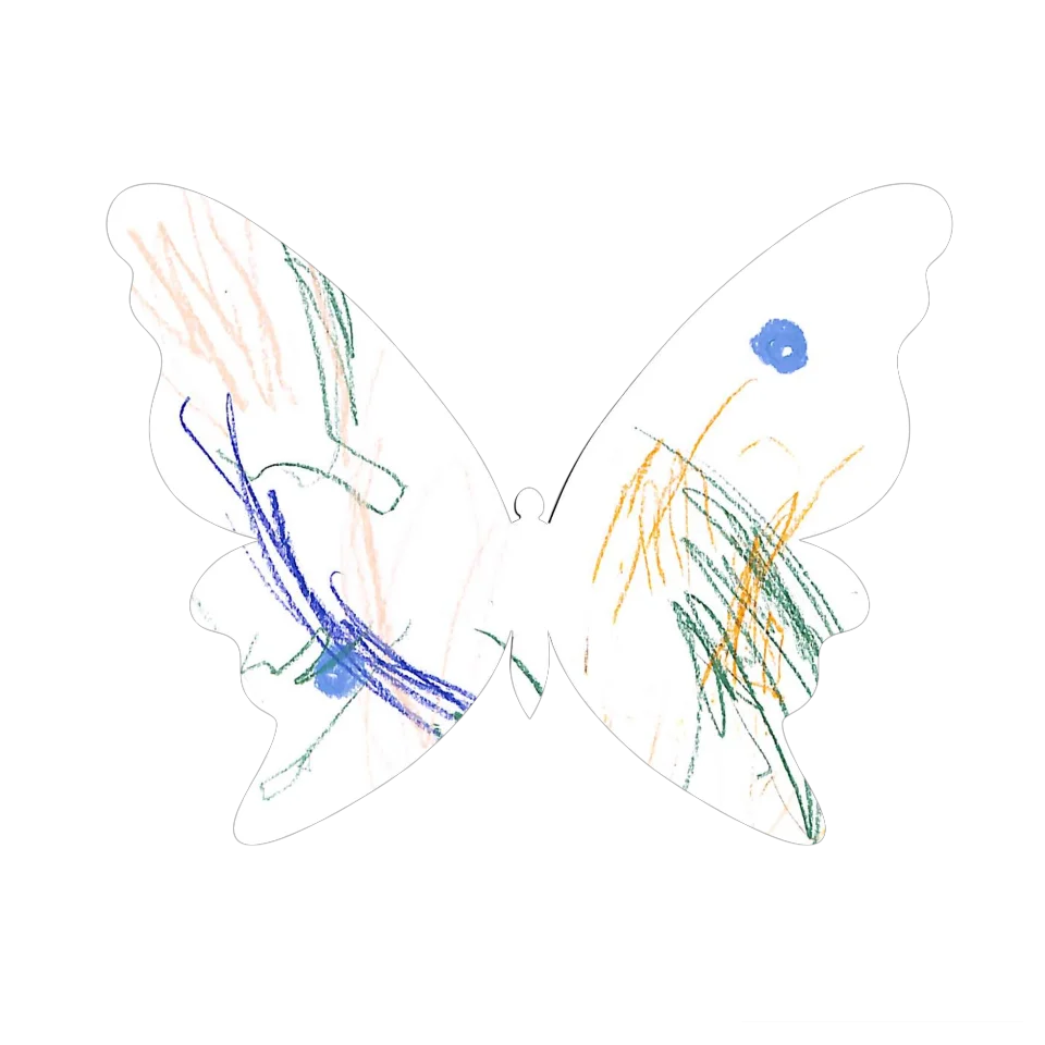 Original Butterfly Image