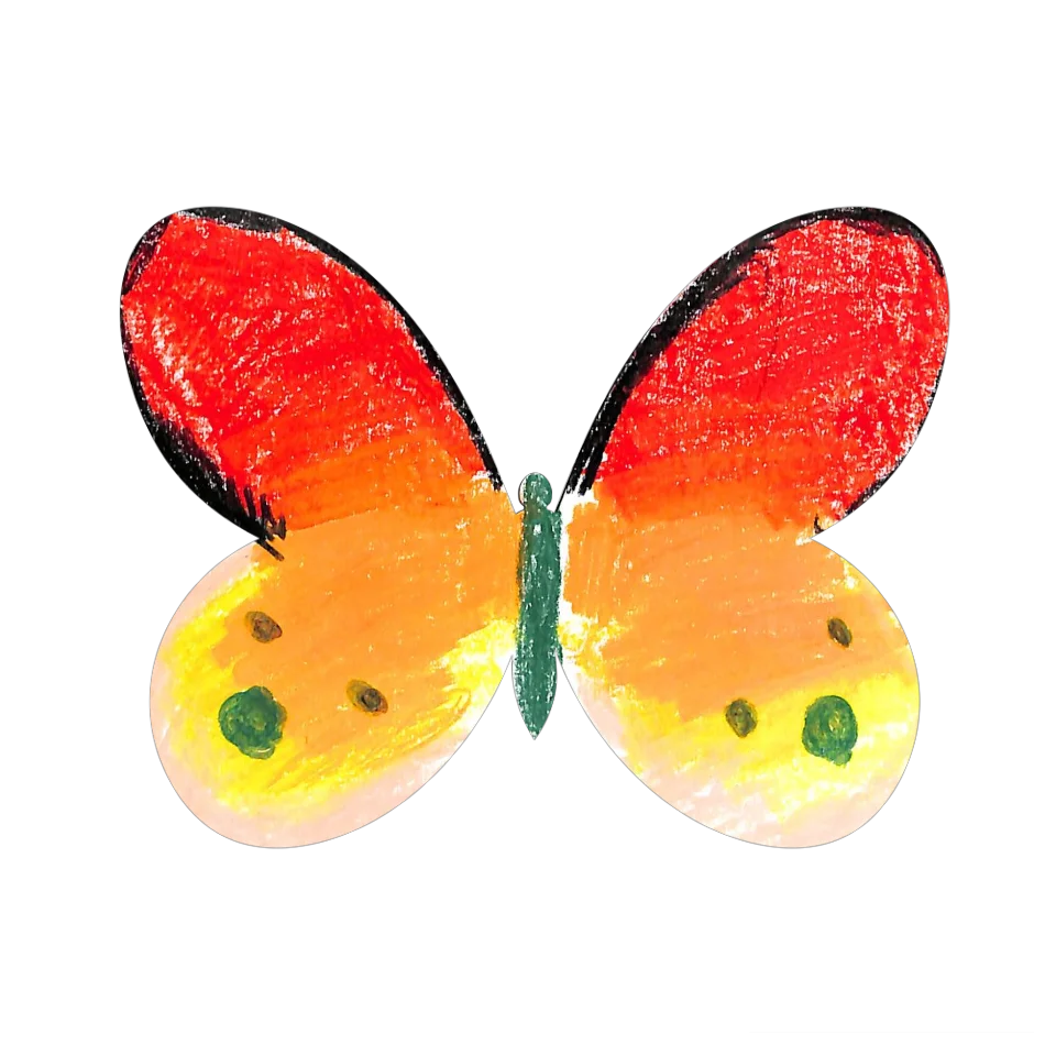 Original Butterfly Image