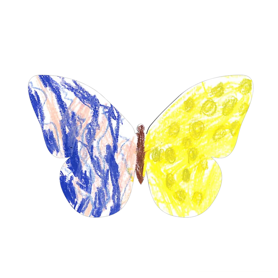 Original Butterfly Image