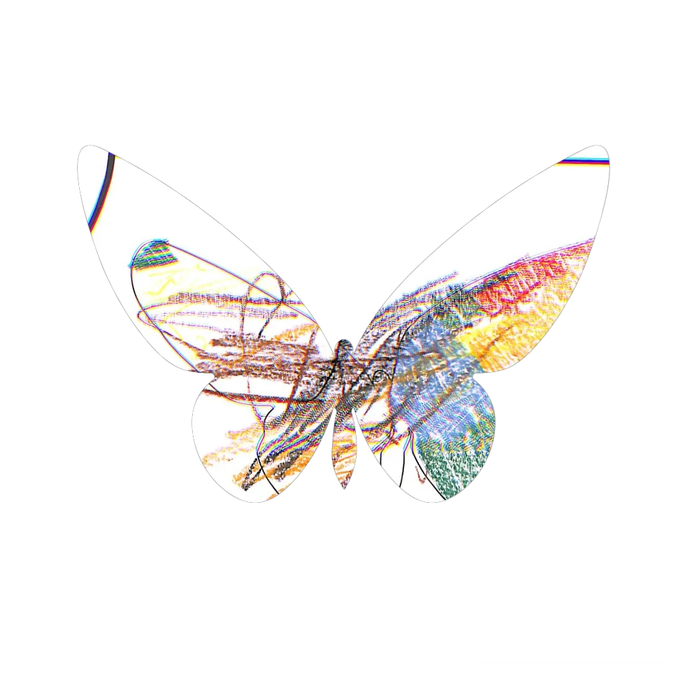 Original Butterfly Image