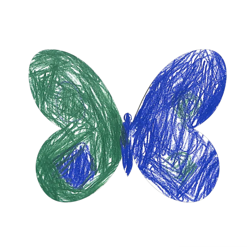 Original Butterfly Image