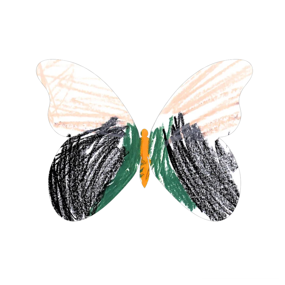 Original Butterfly Image
