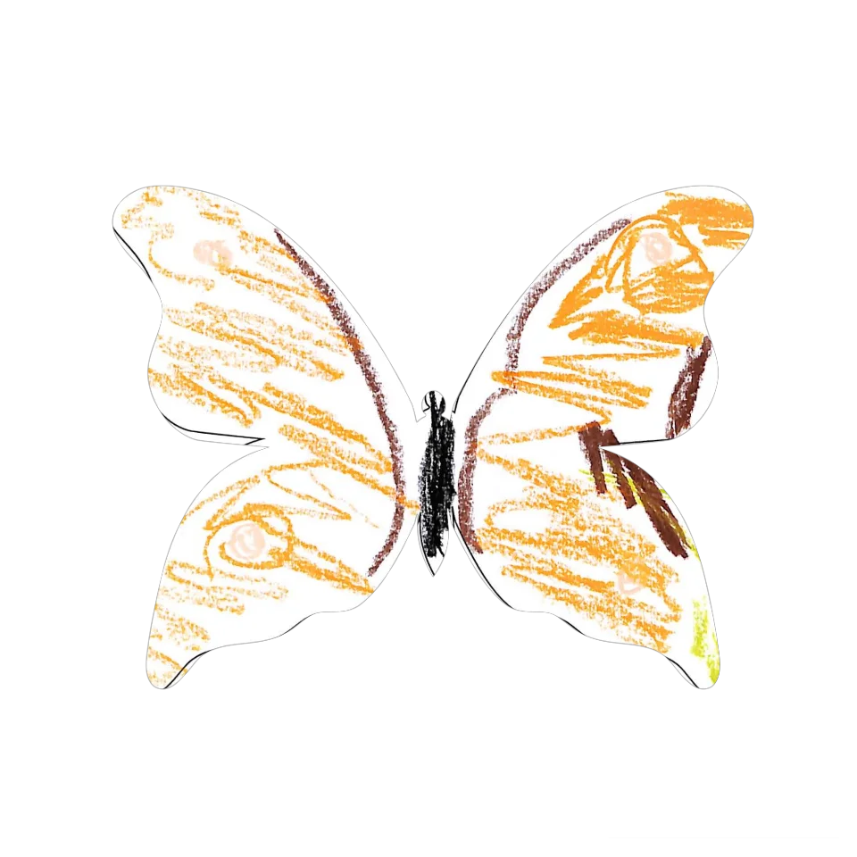 Original Butterfly Image