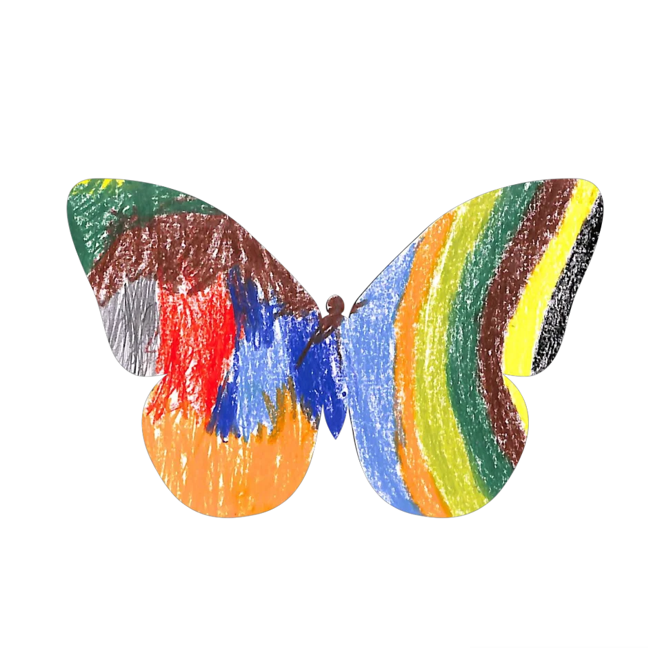 Original Butterfly Image
