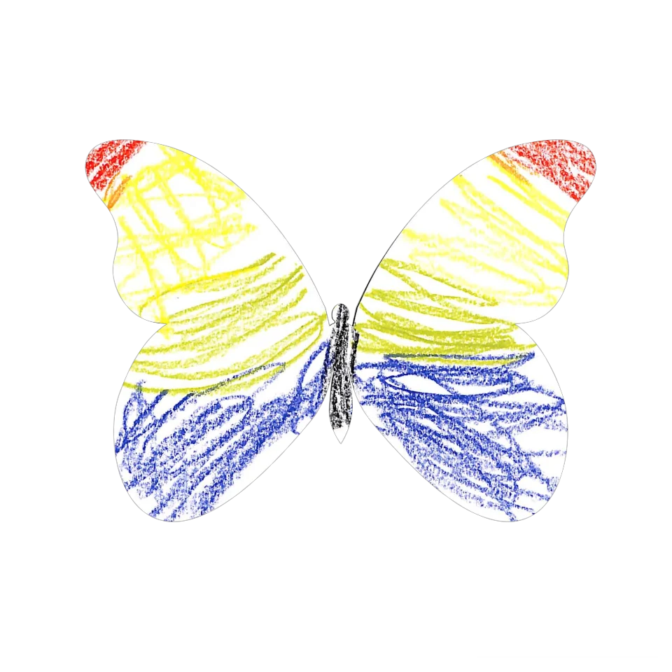 Original Butterfly Image