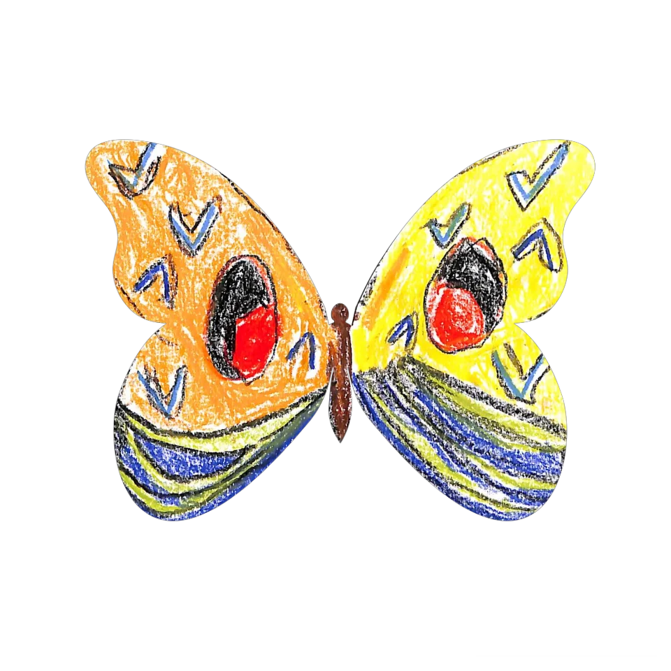 Original Butterfly Image