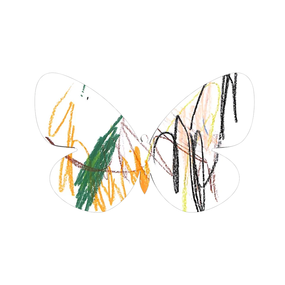 Original Butterfly Image