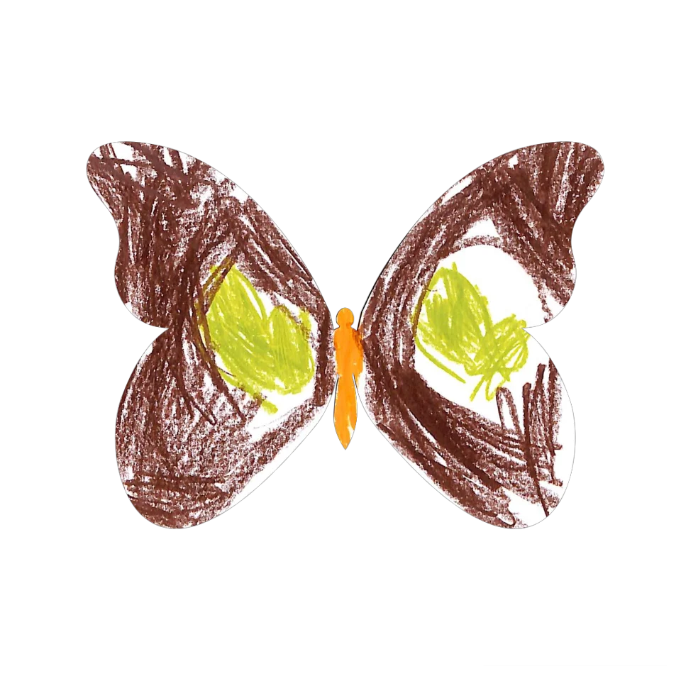 Original Butterfly Image
