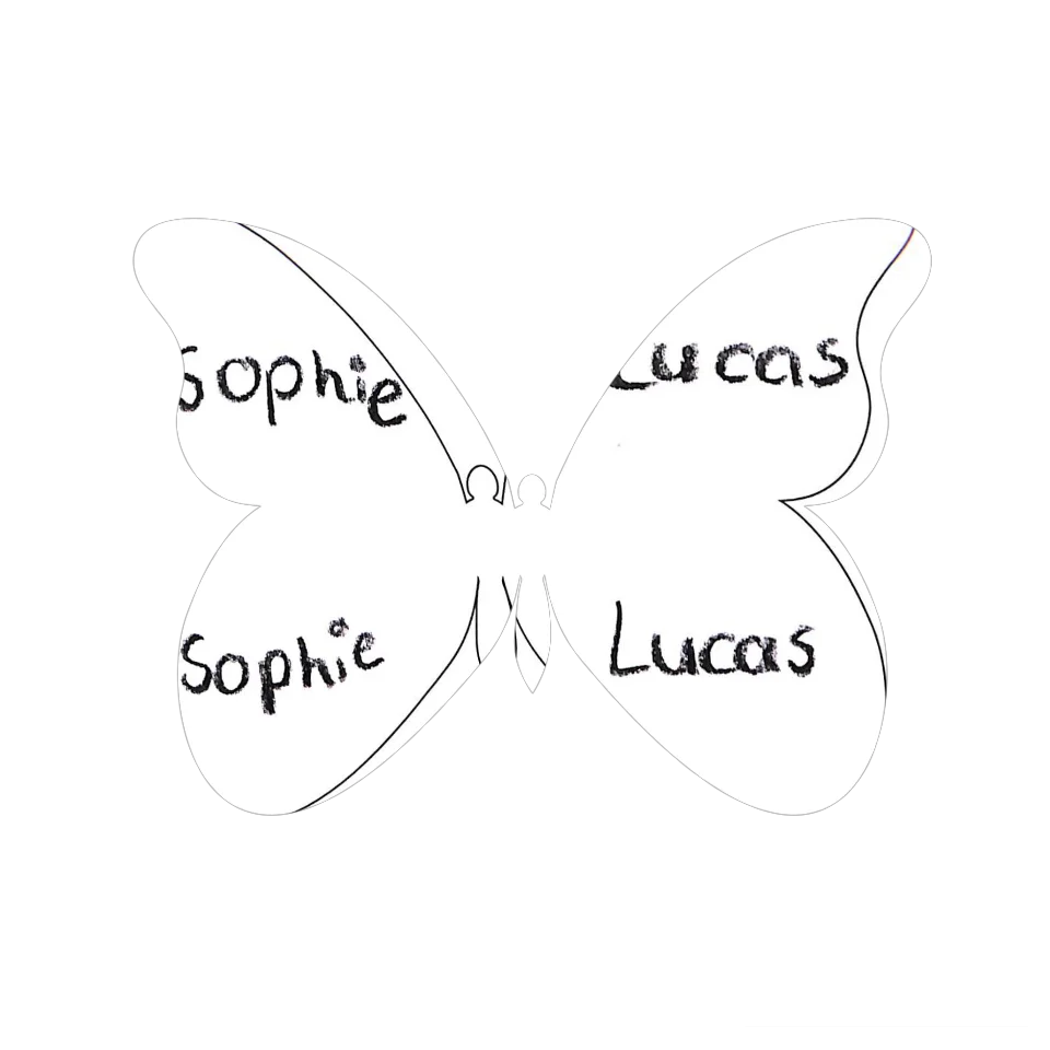 Original Butterfly Image