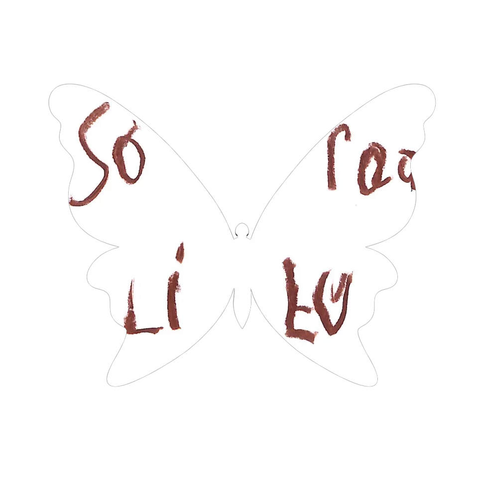 Original Butterfly Image