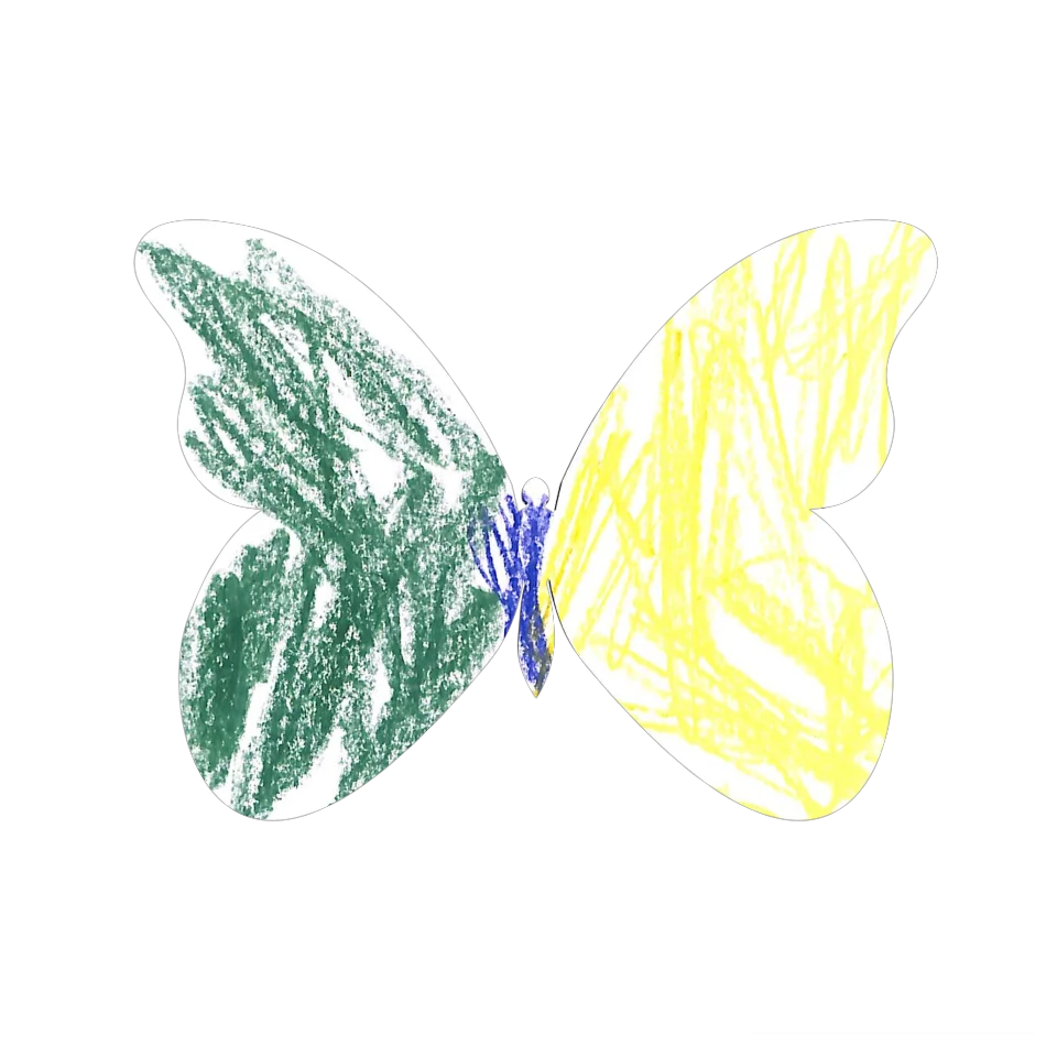 Original Butterfly Image