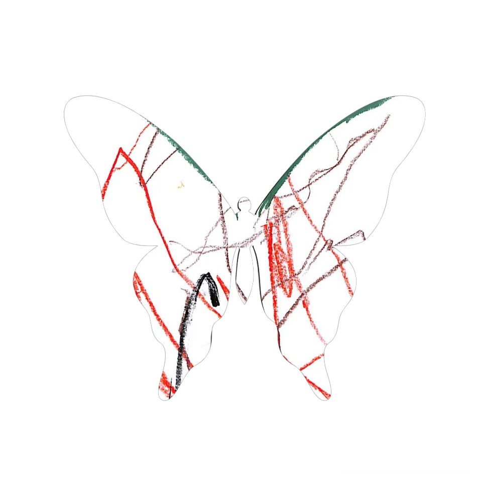 Original Butterfly Image