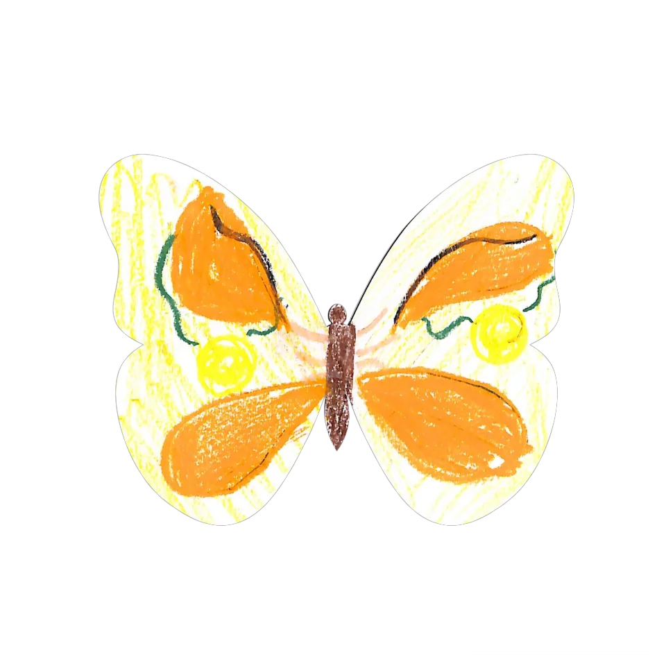 Original Butterfly Image