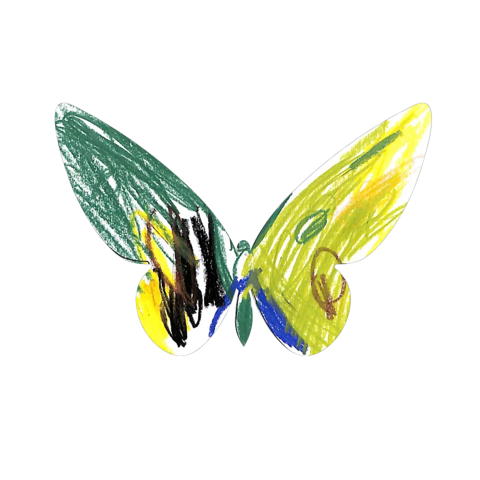 Original Butterfly Image
