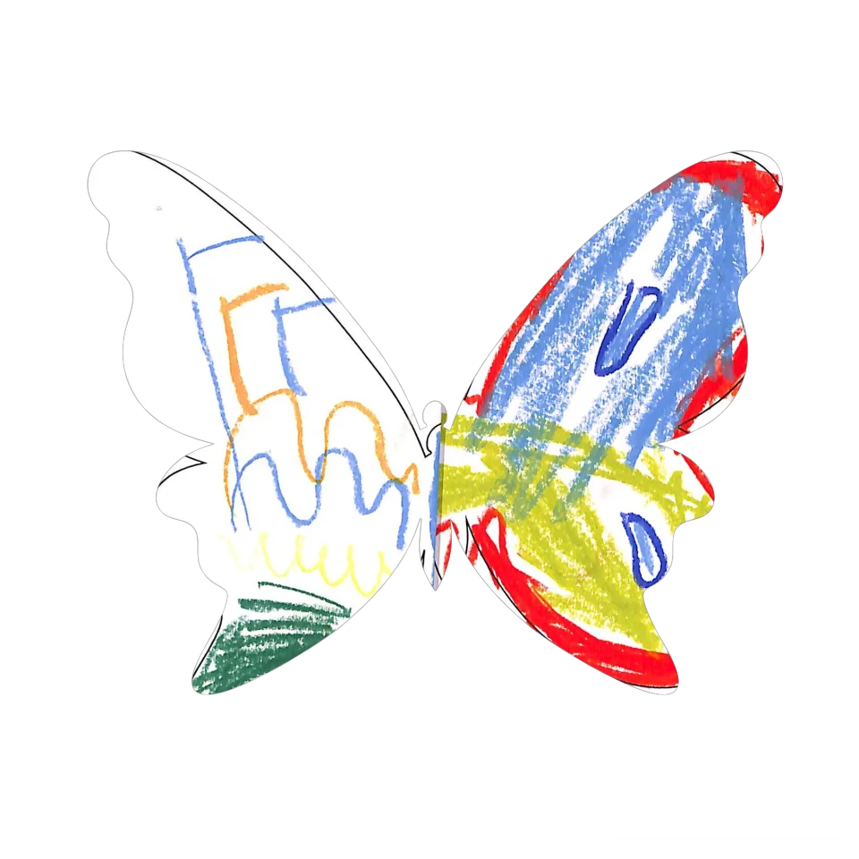 Original Butterfly Image