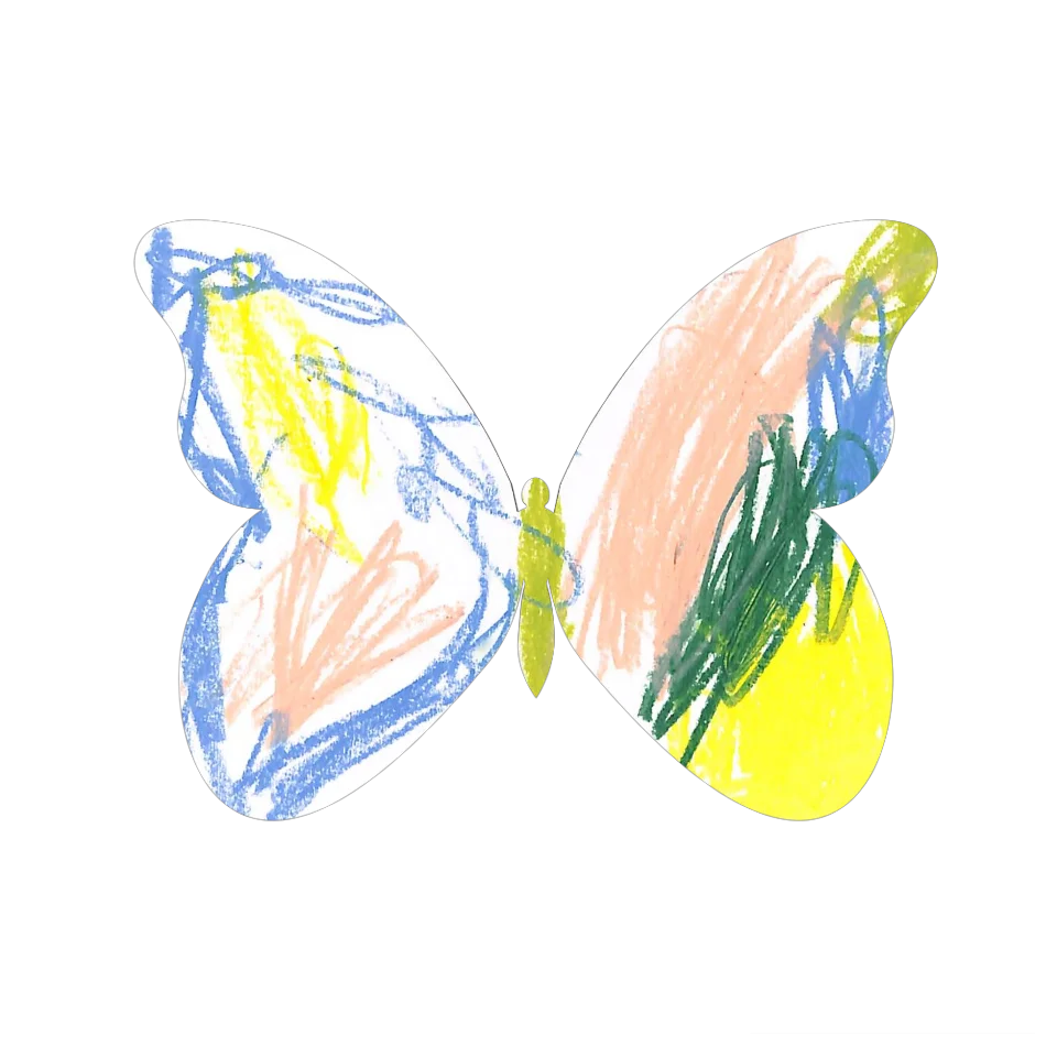 Original Butterfly Image