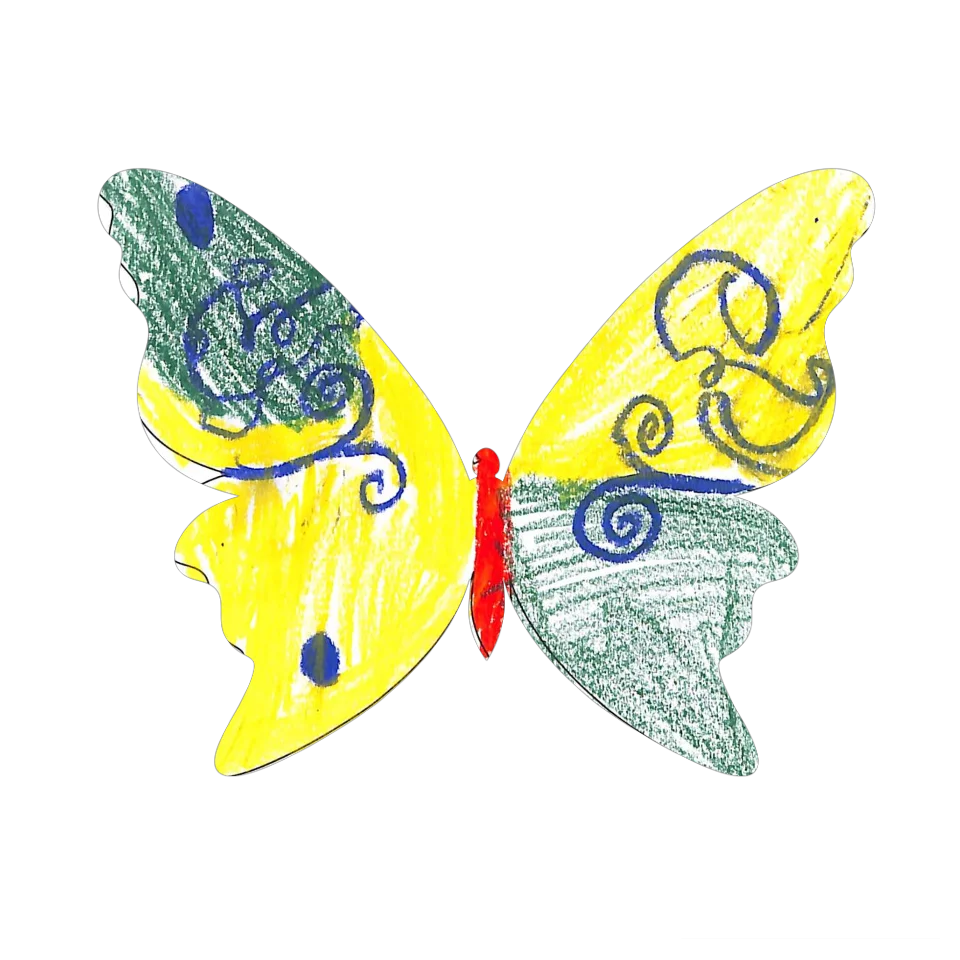 Original Butterfly Image