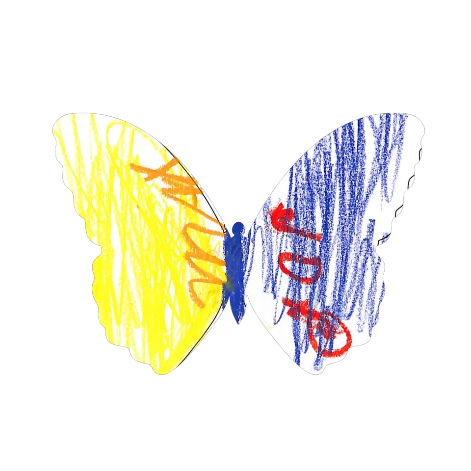 Original Butterfly Image