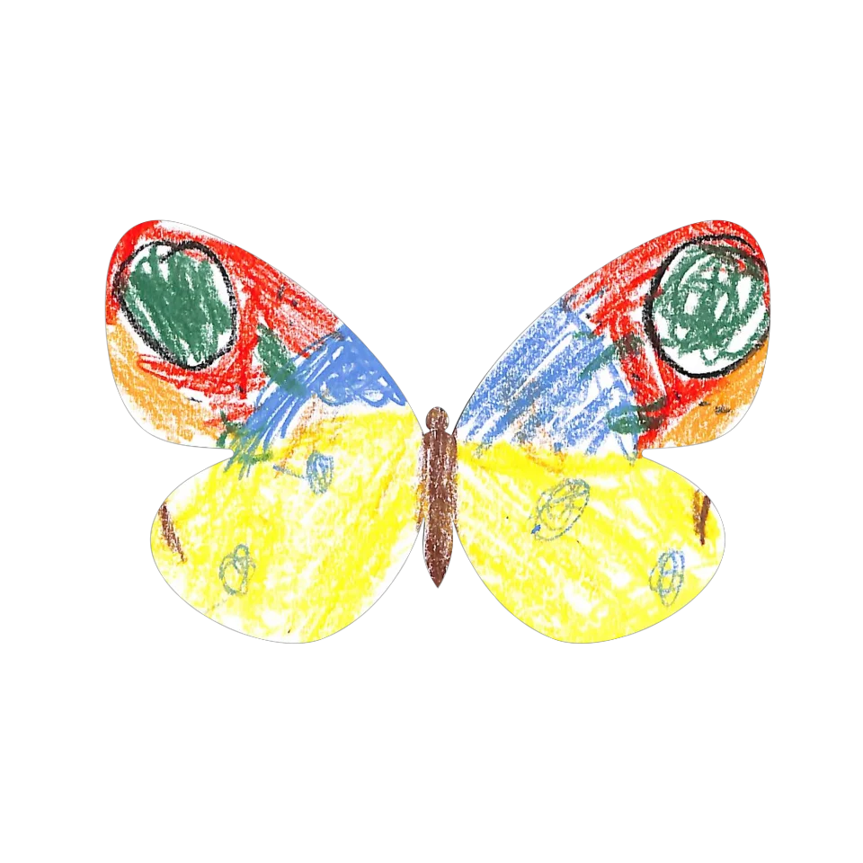 Original Butterfly Image