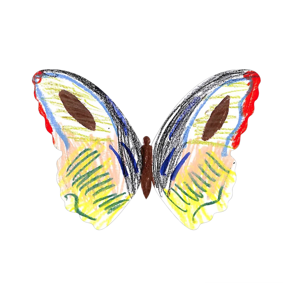 Original Butterfly Image