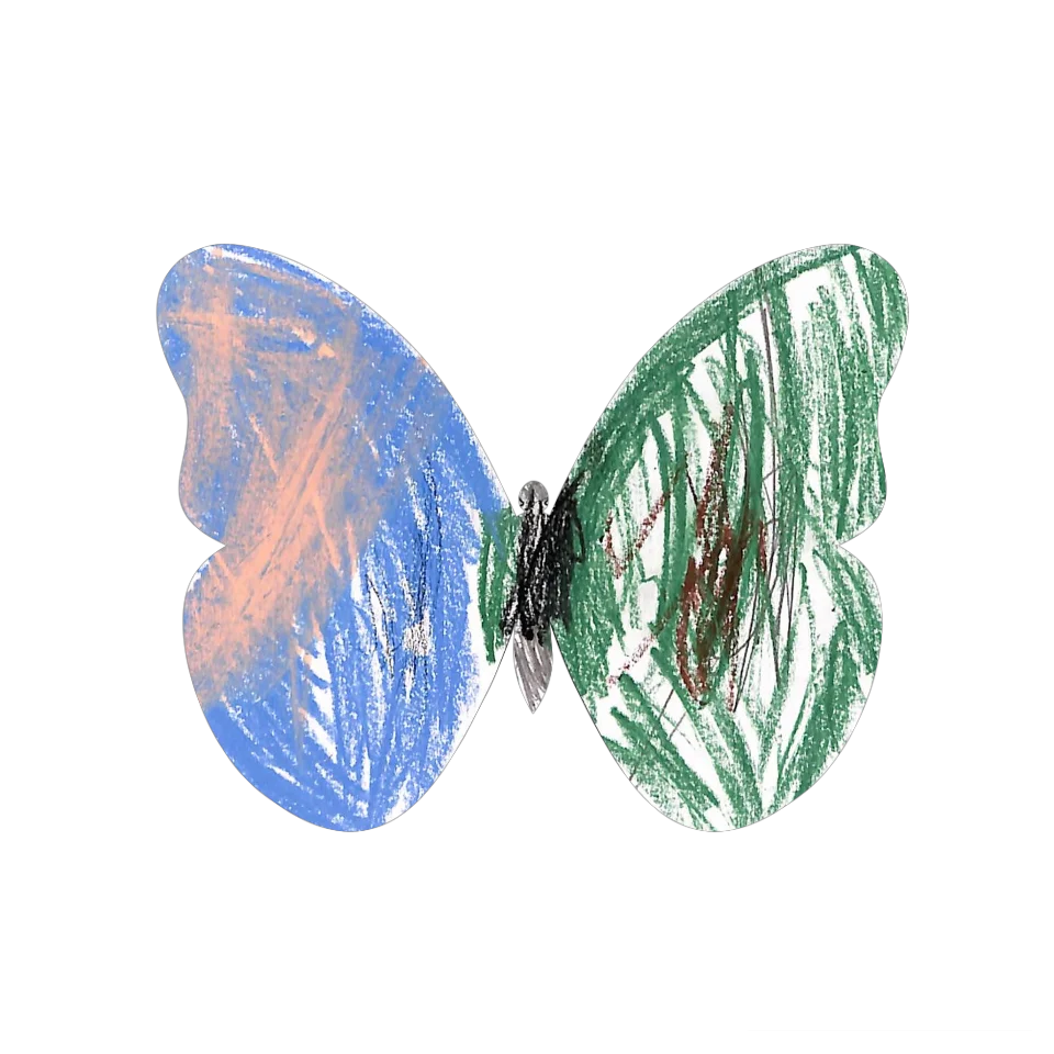 Original Butterfly Image