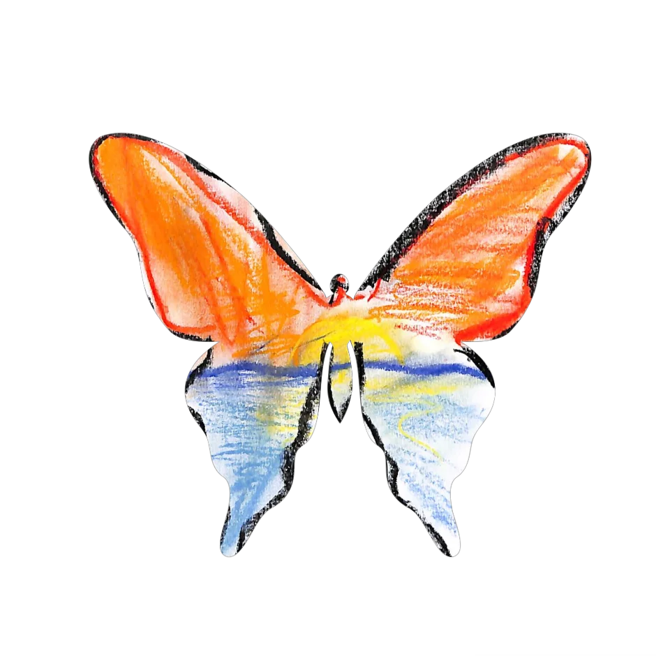 Original Butterfly Image