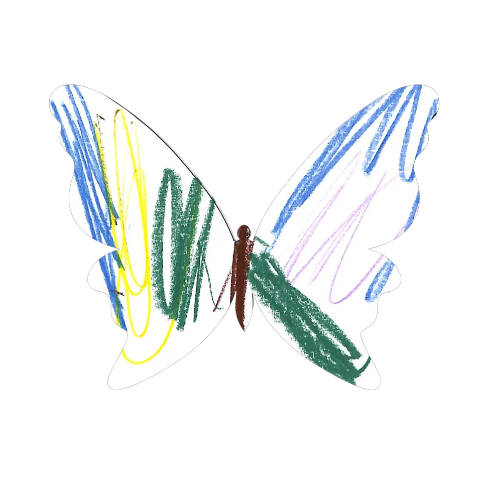 Original Butterfly Image