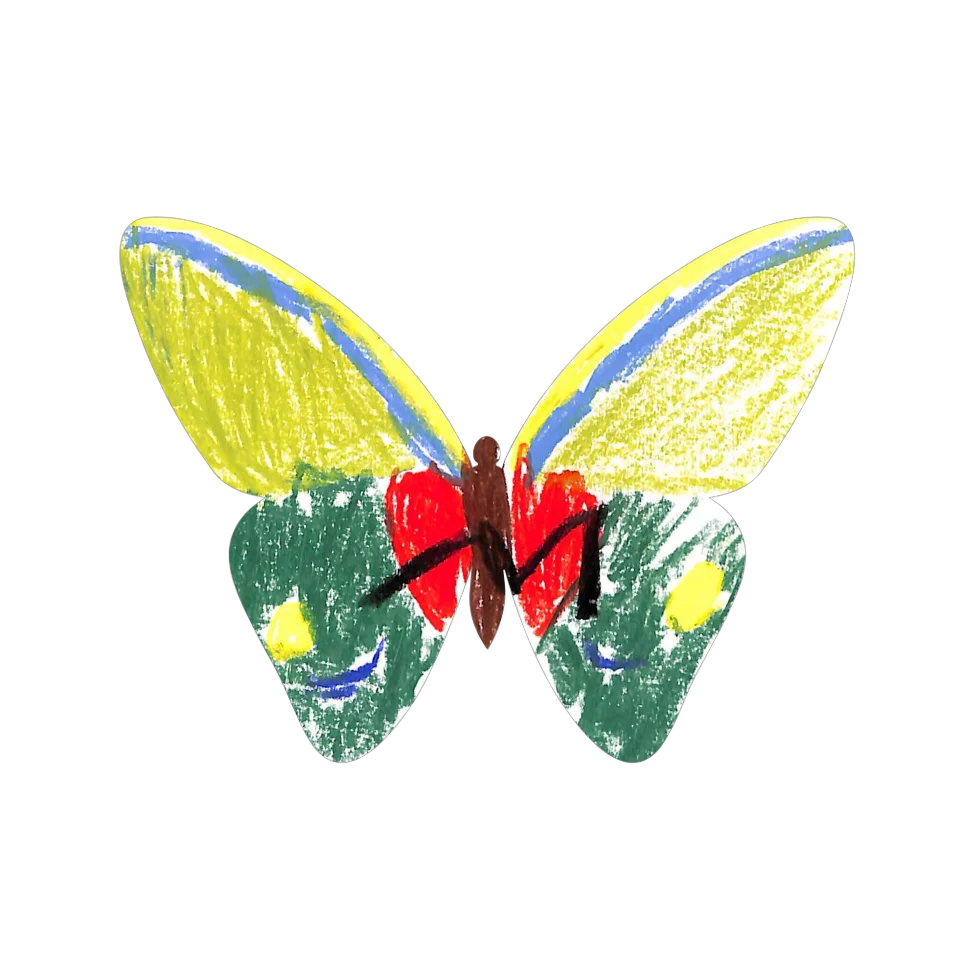 Original Butterfly Image
