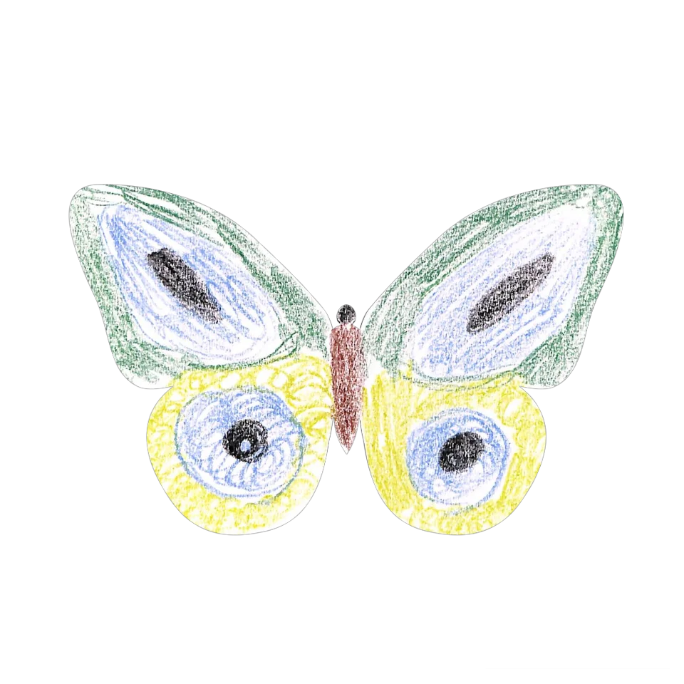 Original Butterfly Image