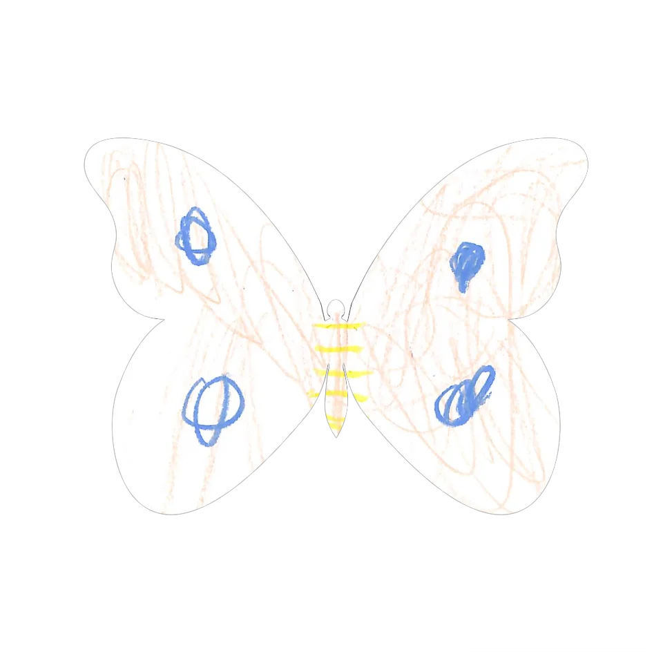 Original Butterfly Image