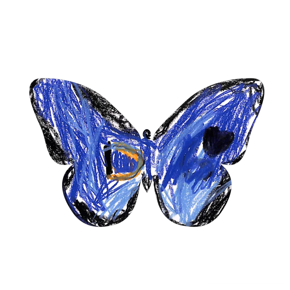 Original Butterfly Image