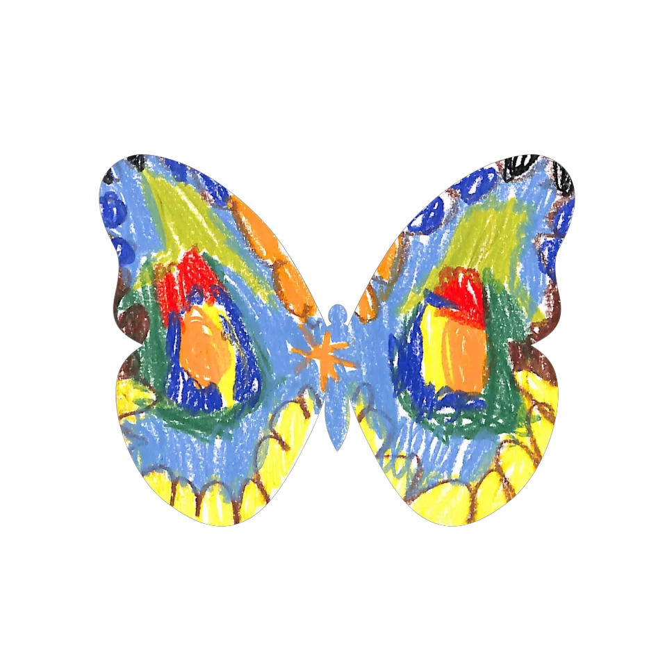 Original Butterfly Image