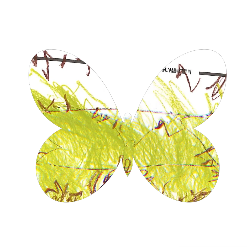 Original Butterfly Image