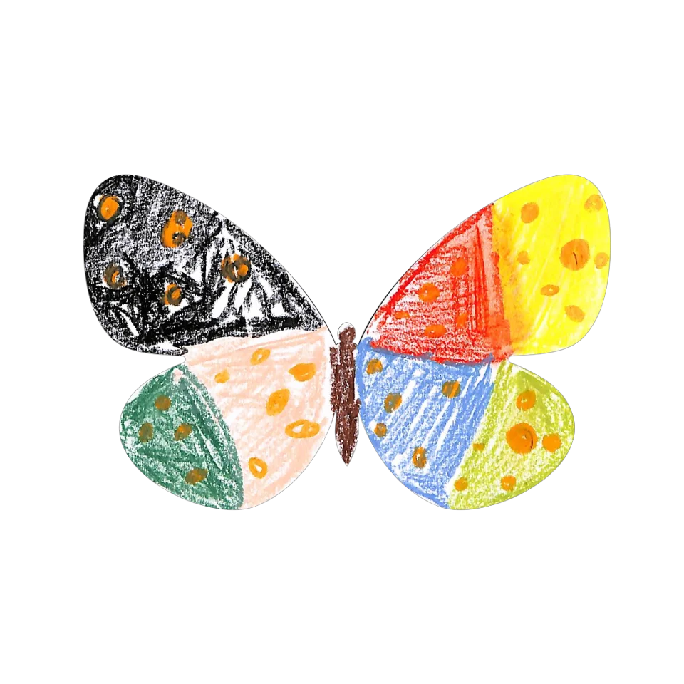 Original Butterfly Image