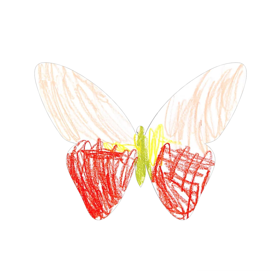Original Butterfly Image