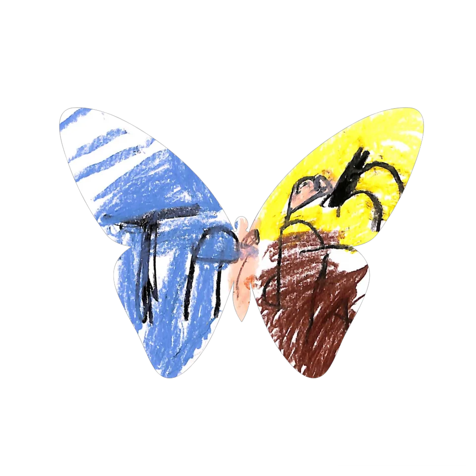 Original Butterfly Image