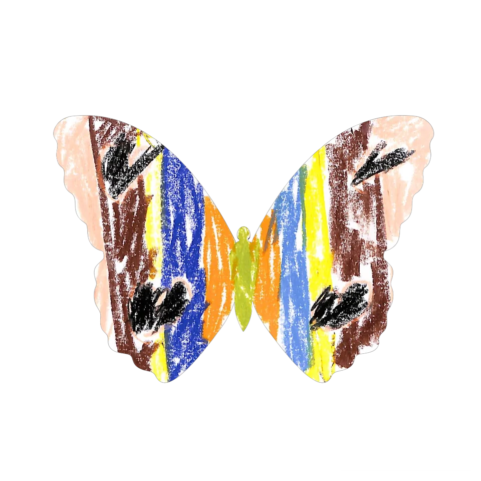 Original Butterfly Image