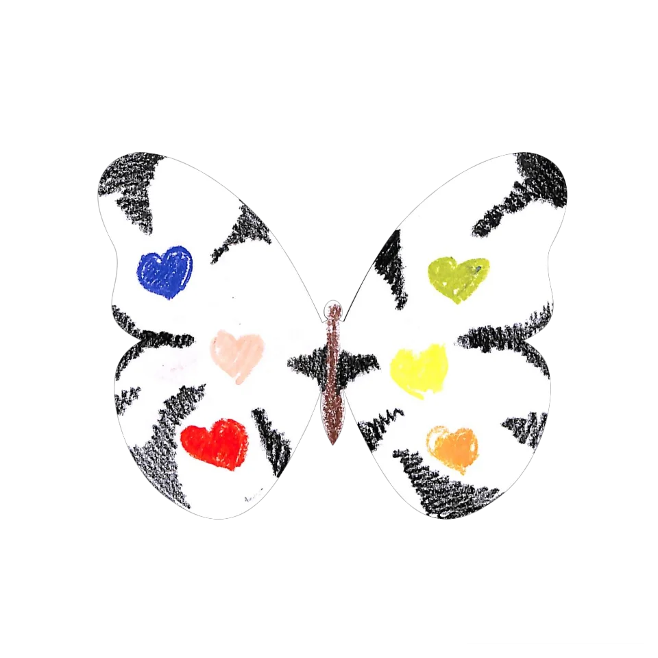 Original Butterfly Image