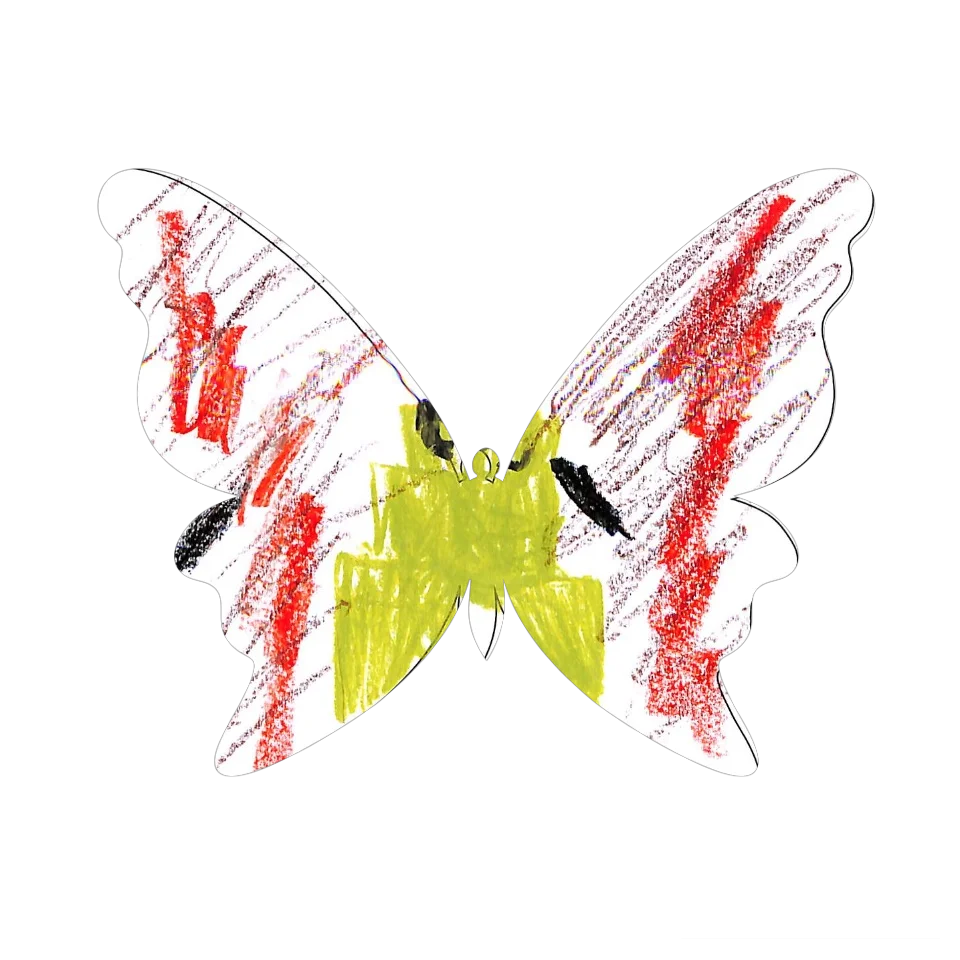 Original Butterfly Image
