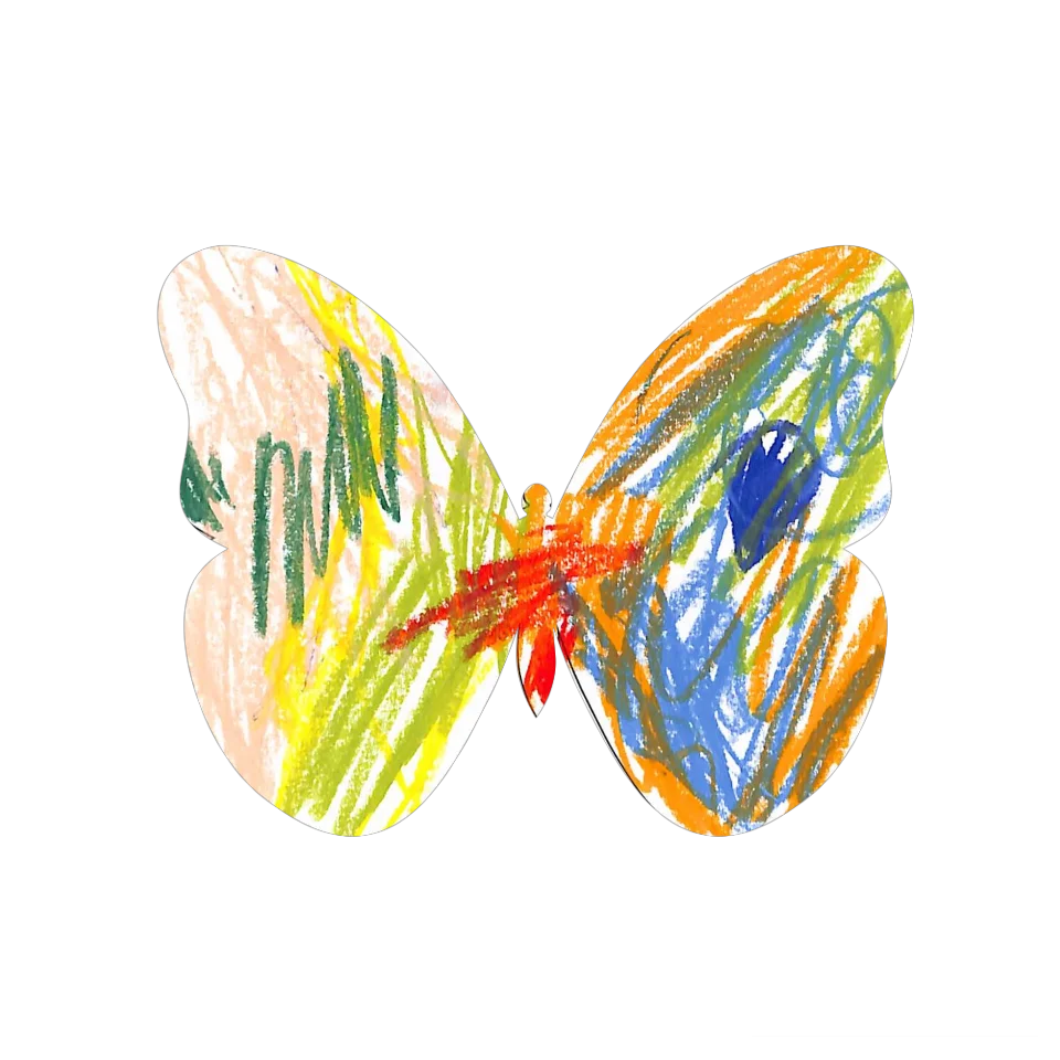 Original Butterfly Image