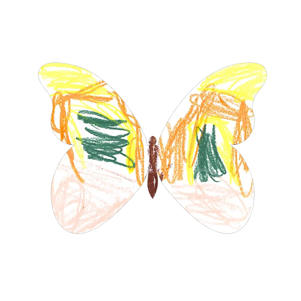 Original Butterfly Image