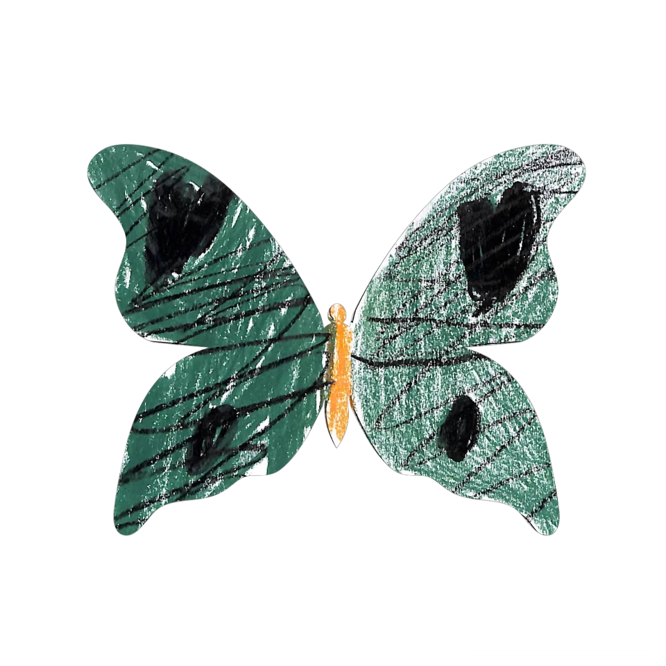 Original Butterfly Image