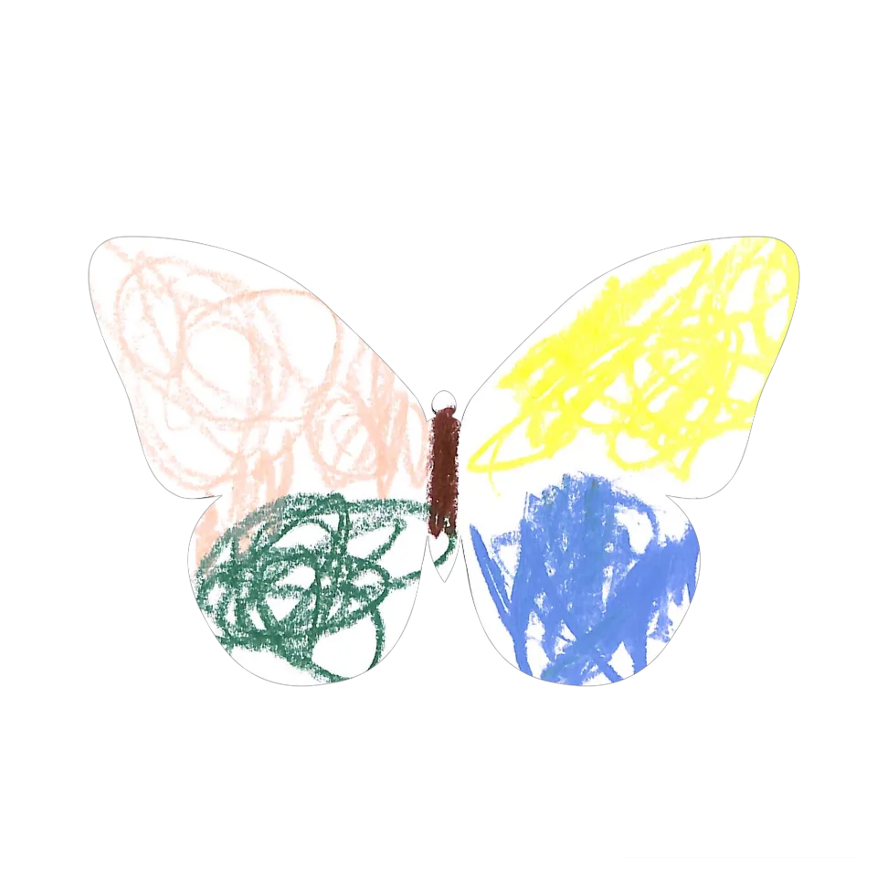 Original Butterfly Image