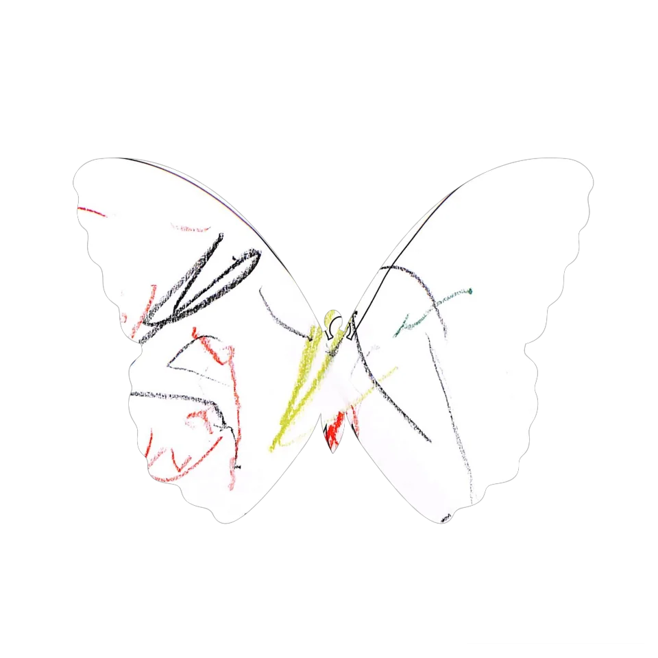 Original Butterfly Image