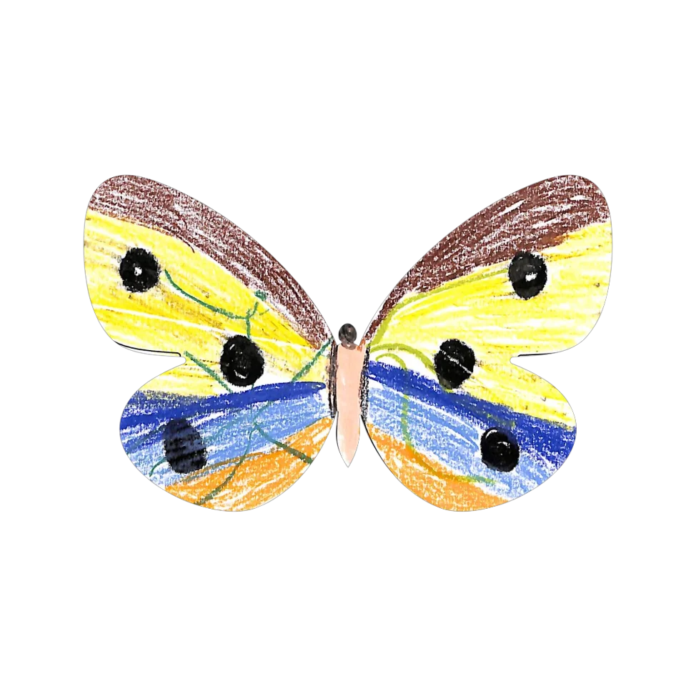 Original Butterfly Image