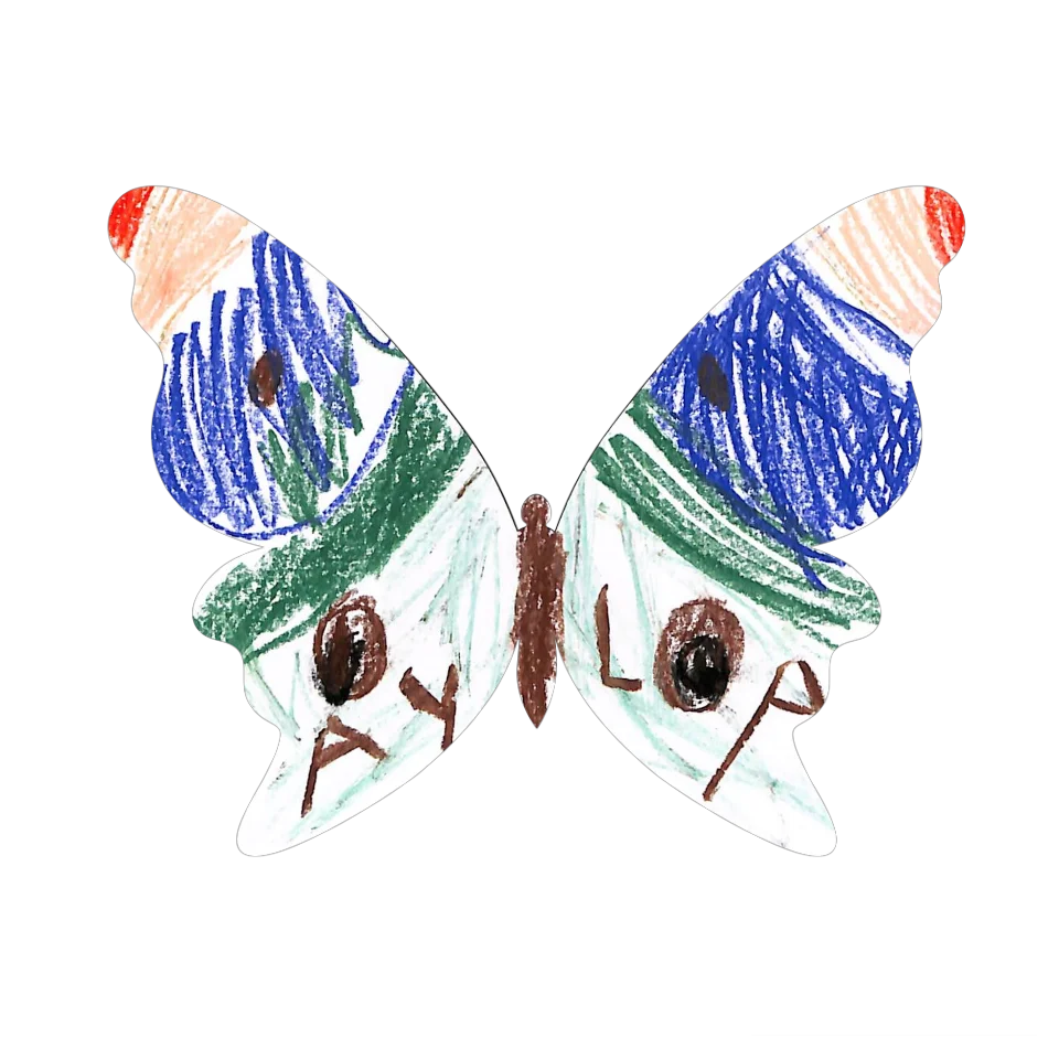 Original Butterfly Image