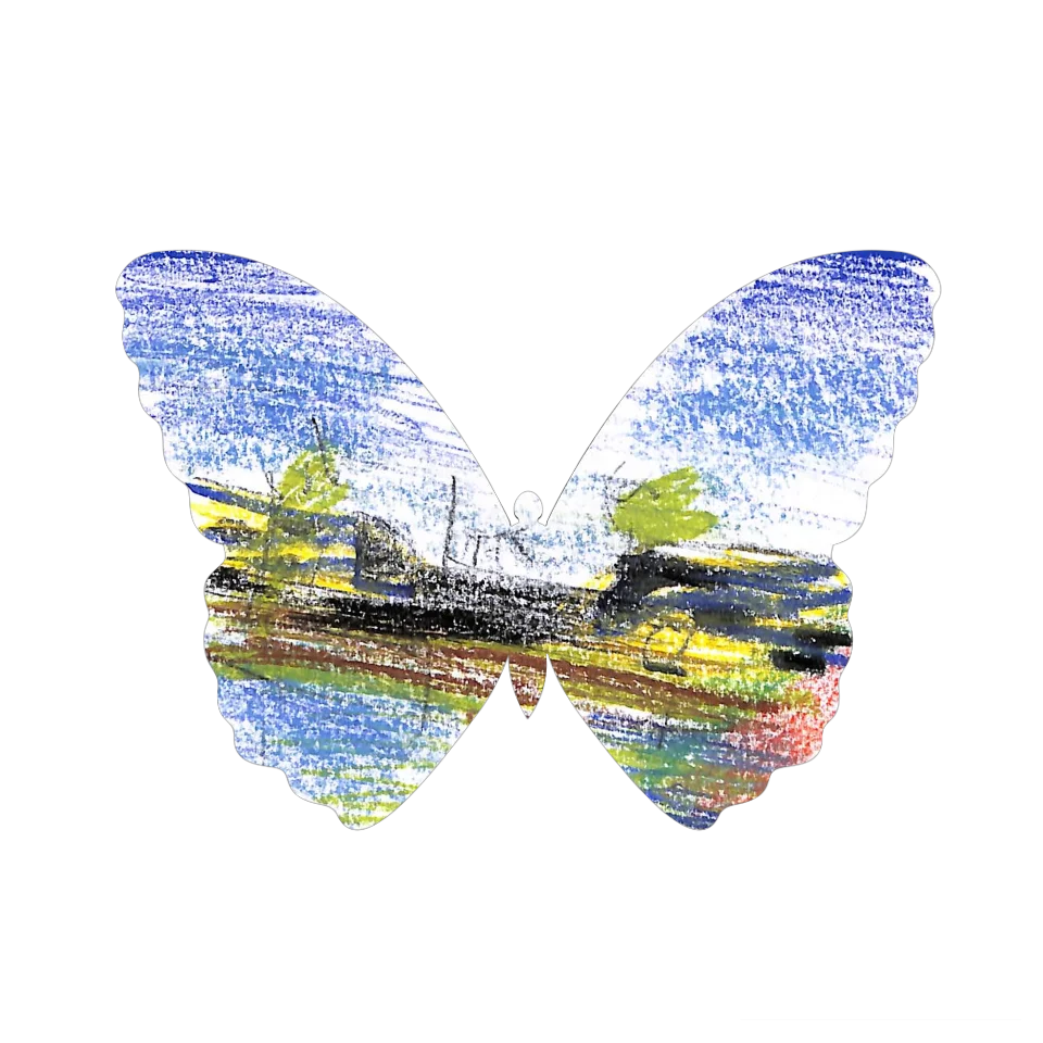 Original Butterfly Image